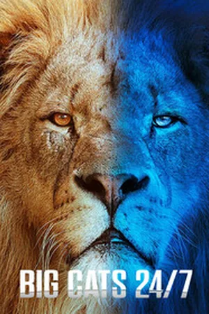 Big Cats 24/7