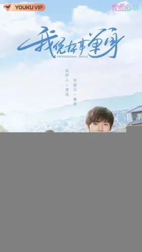 Профессионал-одиночка